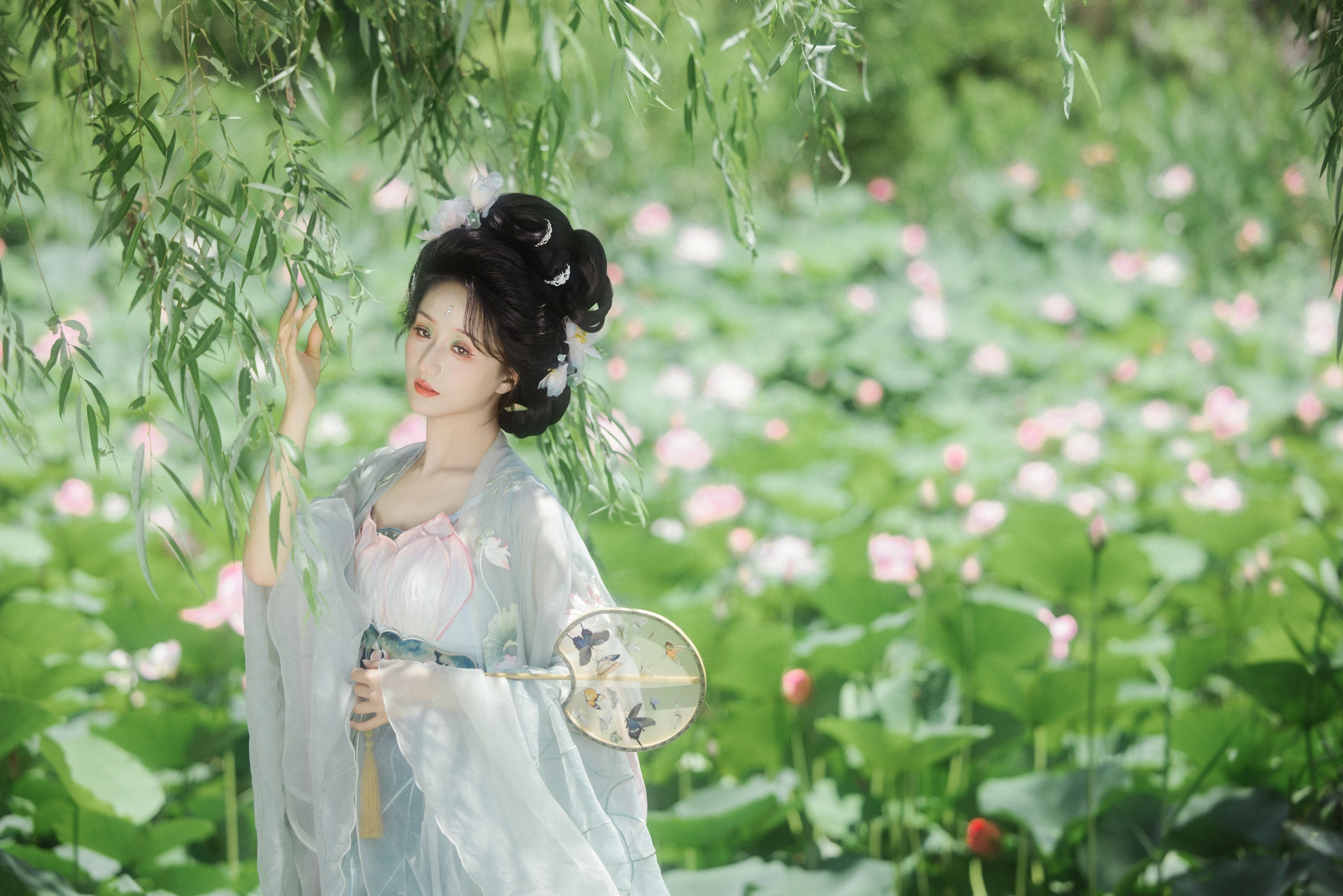 [YITUYU艺图语]2024.09.23 风吹荷花香 飘飘不吃草 2